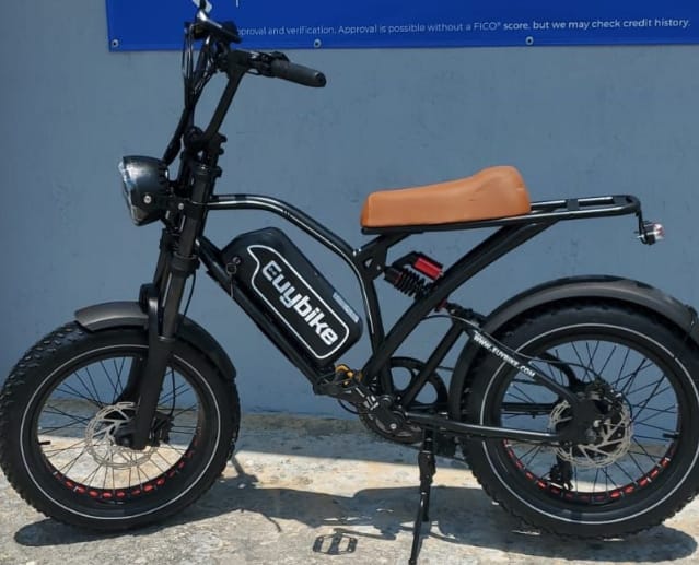 bibi-elec1