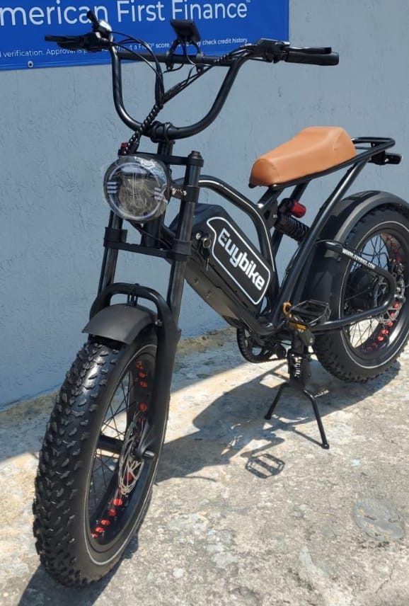 bici-elect2